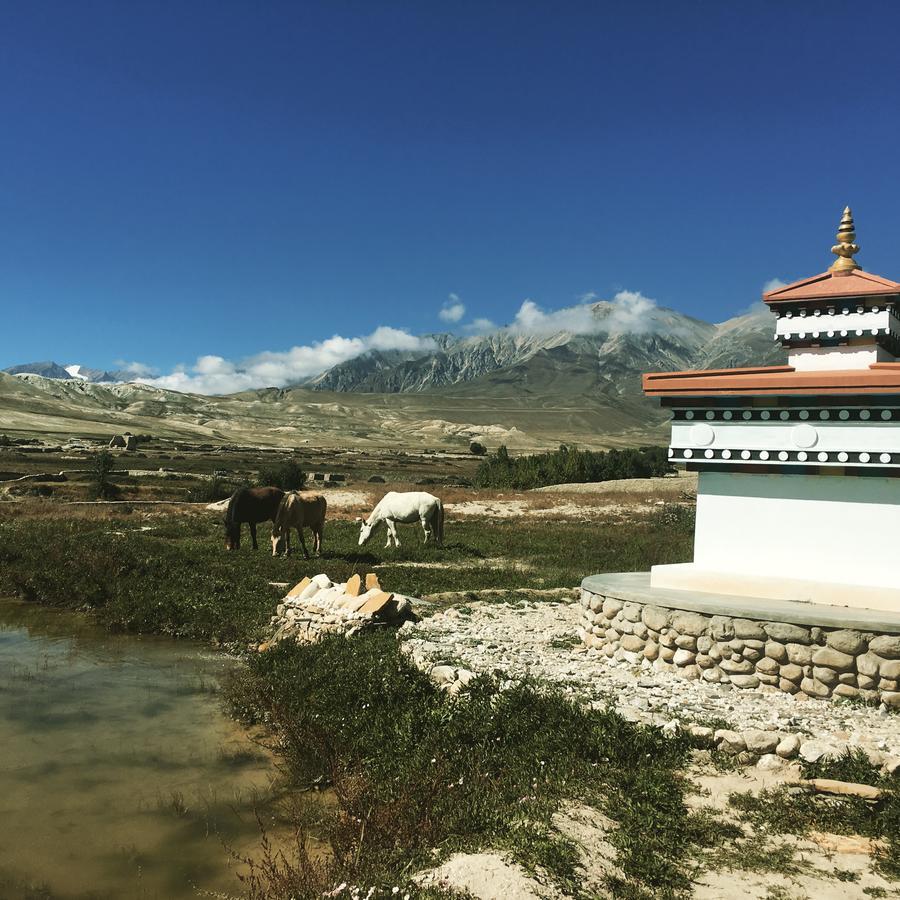 Royal Mustang Resort Nāmbo Exteriér fotografie